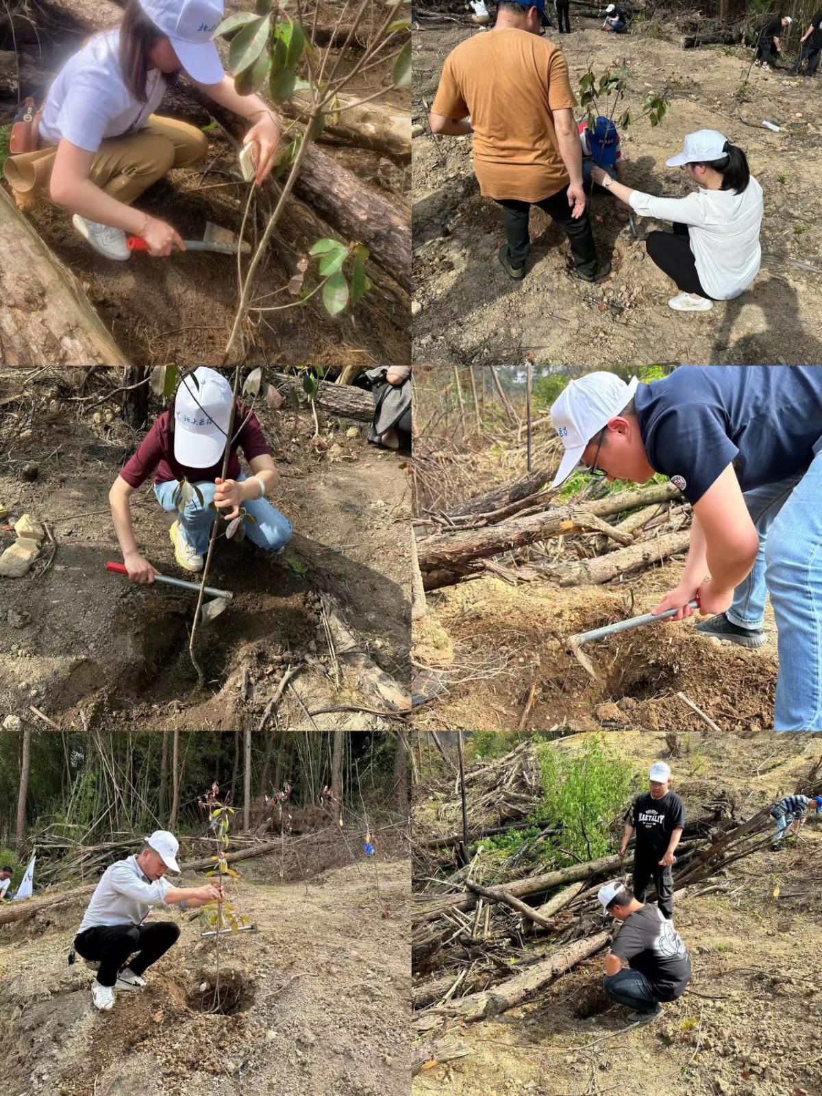 ΢ÐÅͼƬ_20230418162036 ΢ÐÅͼƬ_20230418162036