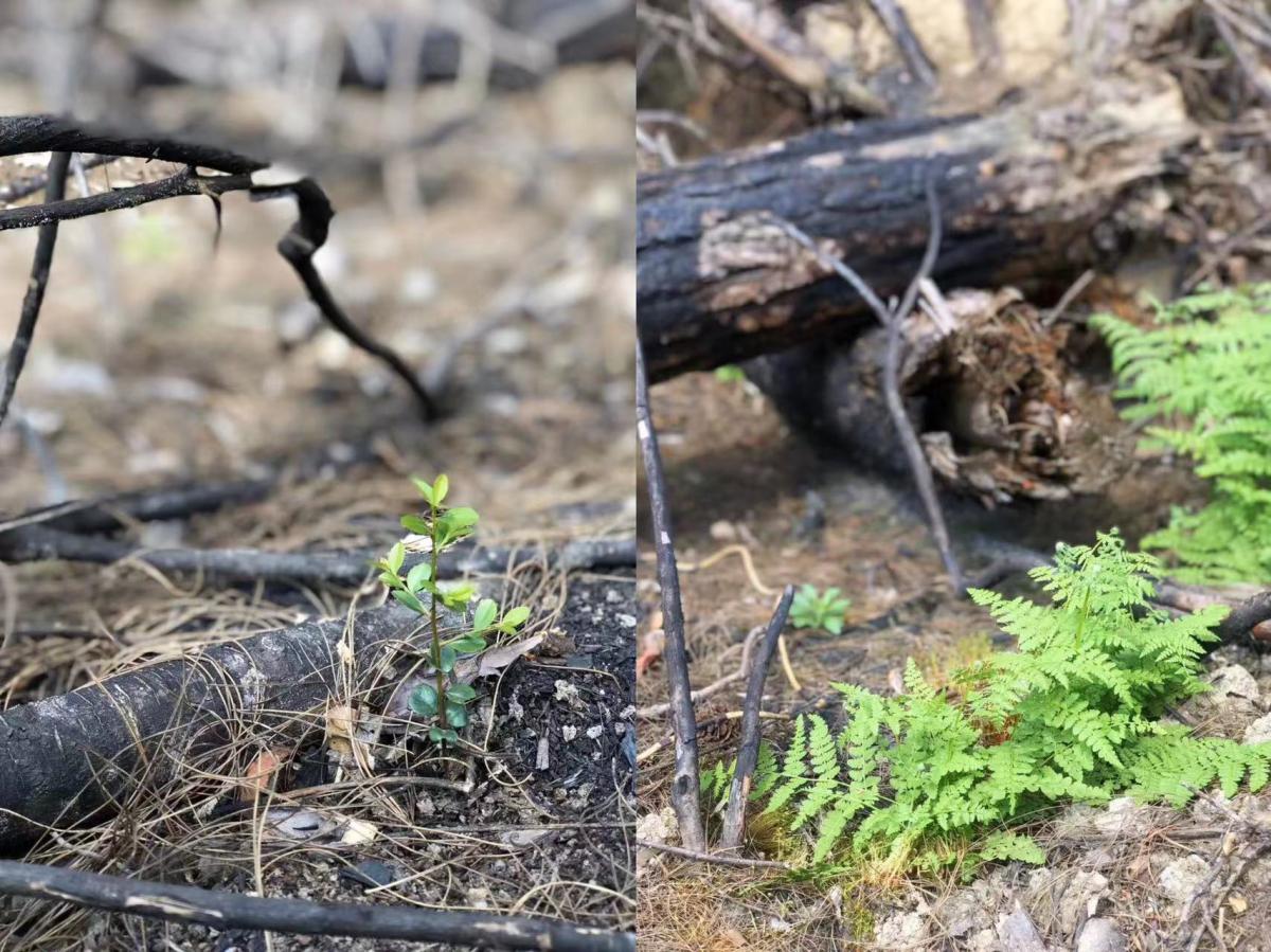 ΢ÐÅͼƬ_20230417134917 ΢ÐÅͼƬ_20230417134917